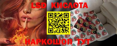 гидра Братск