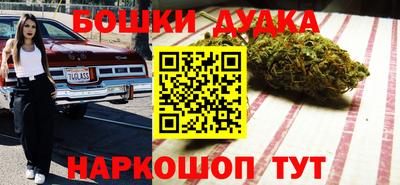 гидра Братск