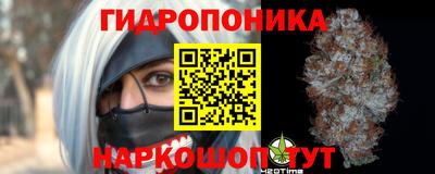гидра Братск