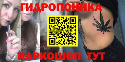 гидра Братск