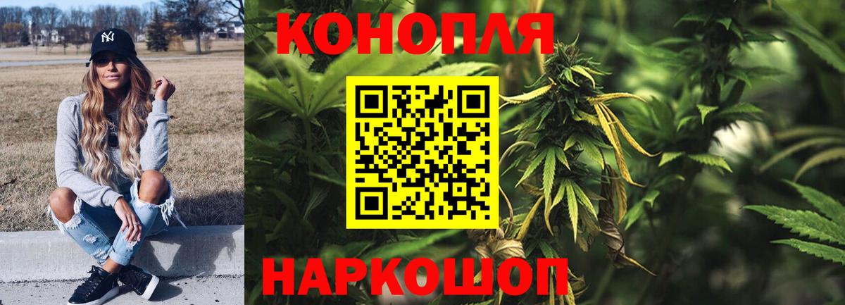 Шишки марихуана план Вольск